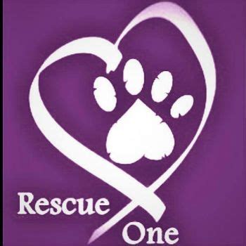 Rescue one springfield mo - Rescue One is a state-licensed, 501 (c) (3), foster-based rescue located in Springfield, MO. All of the animals in our care live in foster homes until a forever home can be found. …